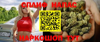 гидра Бузулук