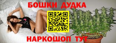 таблы Будённовск