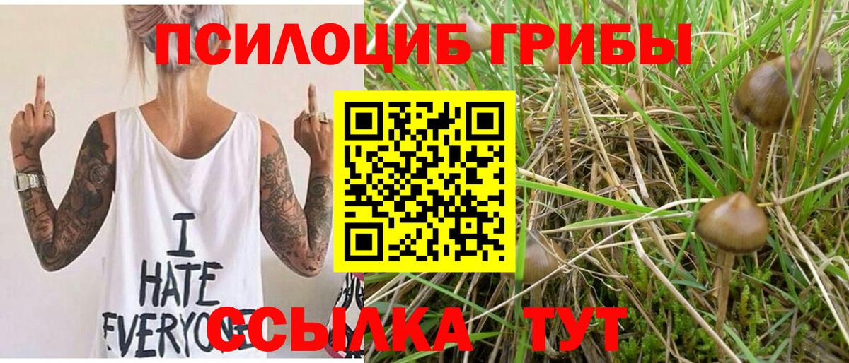 Псилоцибиновые грибы Magic Shrooms Майский