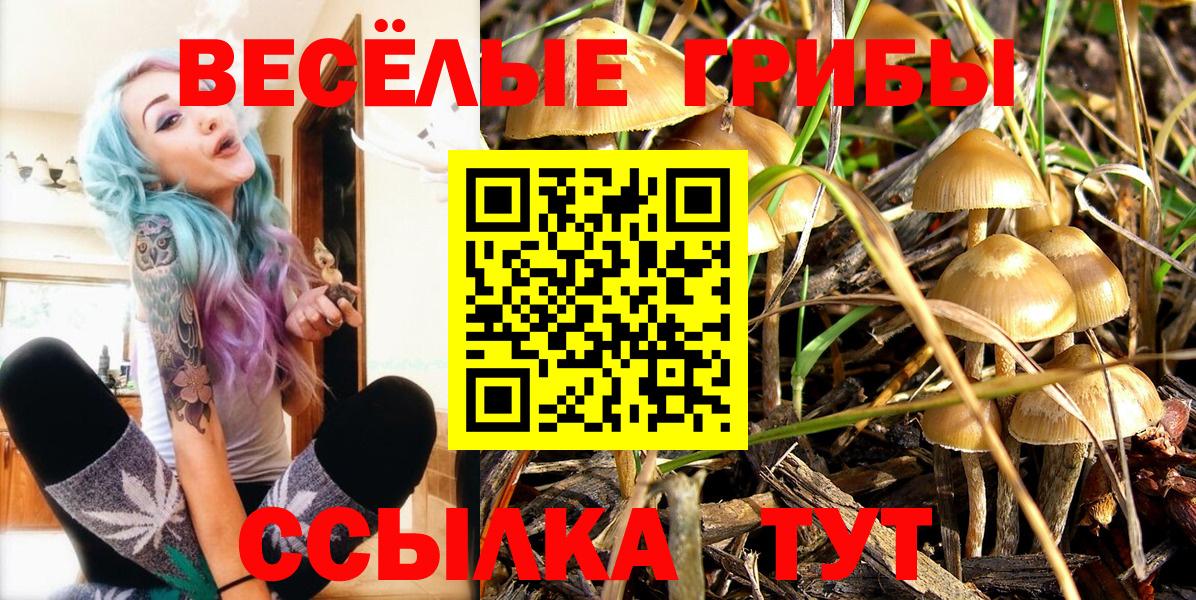 Майский  Галлюциногенные грибы Cubensis  Вход с VPN 